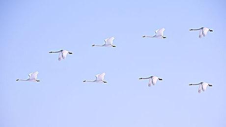 《星球大战绝地：幸存者》的故事 非星战粉丝也会喜欢